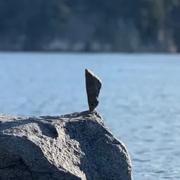 Avatar for Jayme Jakubowski