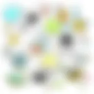 Avatar for Artist 698