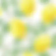 Avatar for Artist 498