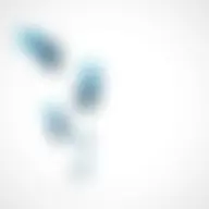 Avatar for Artist 006