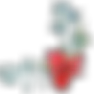 Avatar for Artist 015