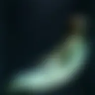Avatar for Artist 417