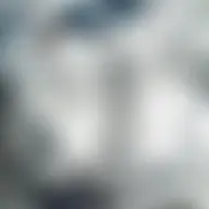 Avatar for Artist 139