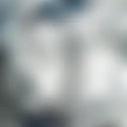 Avatar for Artist 139
