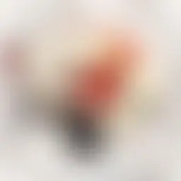 Avatar for Artist 682