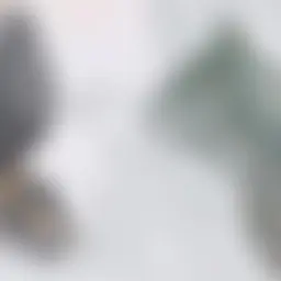 Avatar for Artist 695