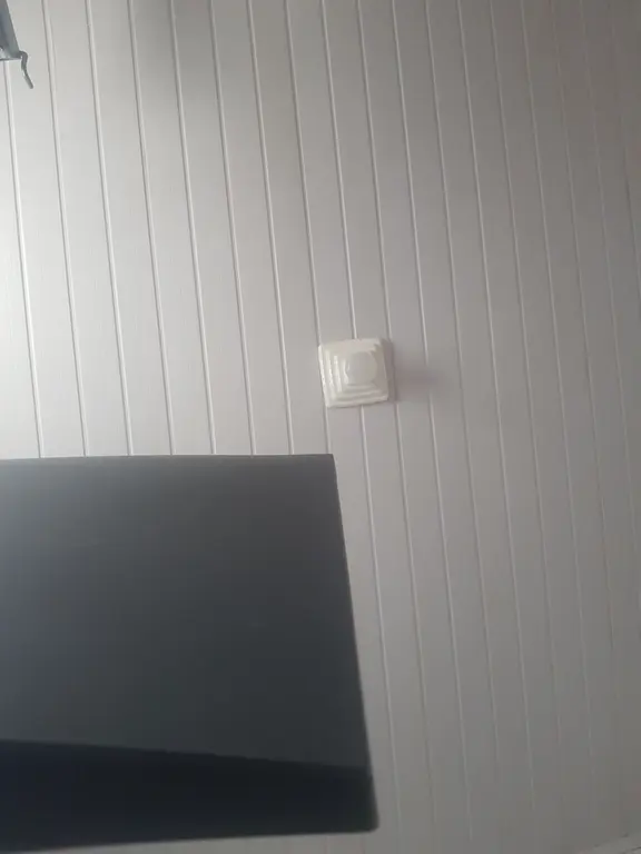 Image for Testing Text Issue