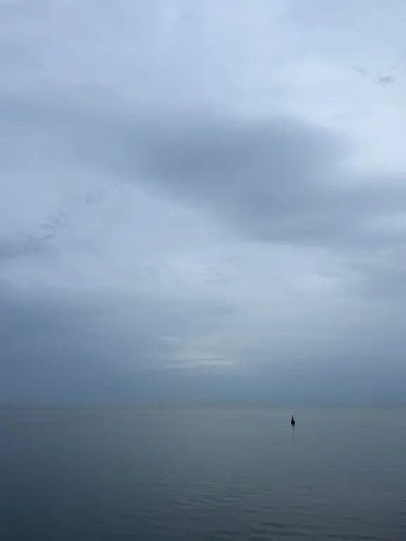 Image for Test