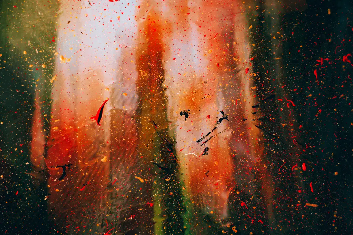 Image for Invasion of the Red Wolf