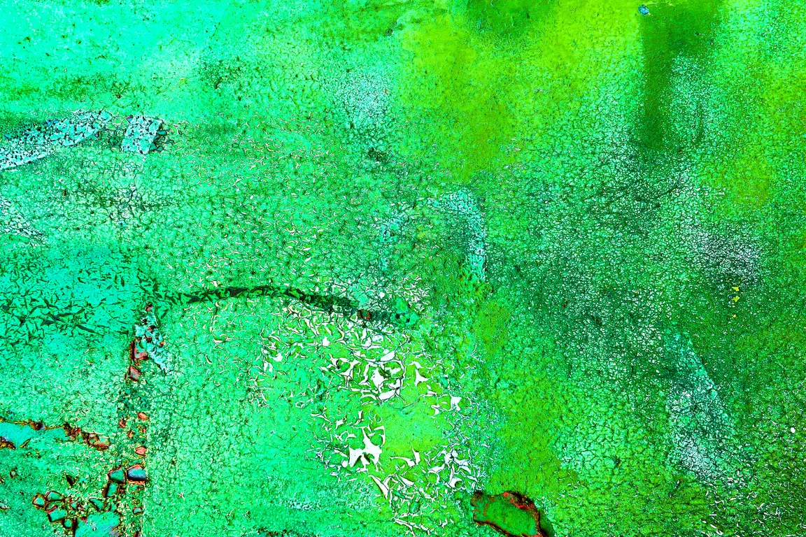 Image for Killer Jungle