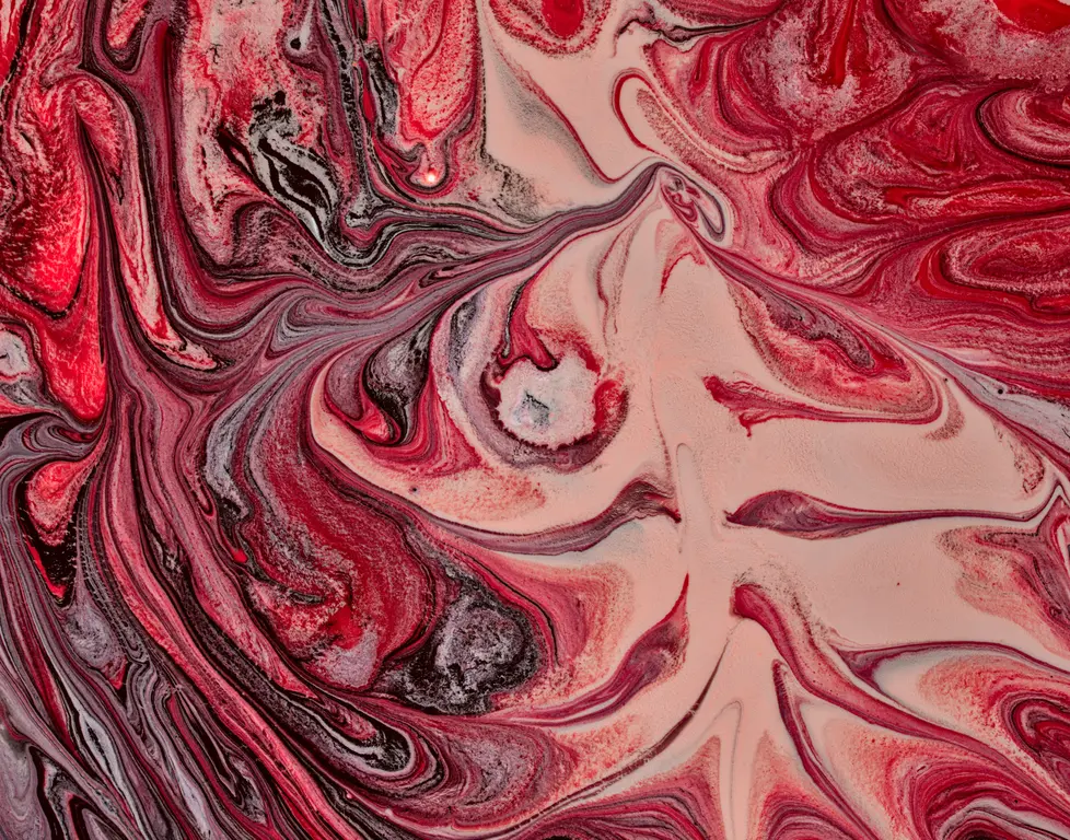 Image for Time of the Champagne Monster