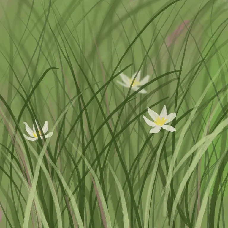 Image for Artwork 10