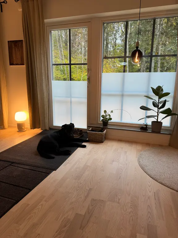 Image for Hejd